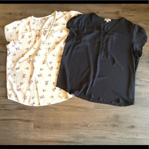 Set of 2 chiffon shirts from Loft